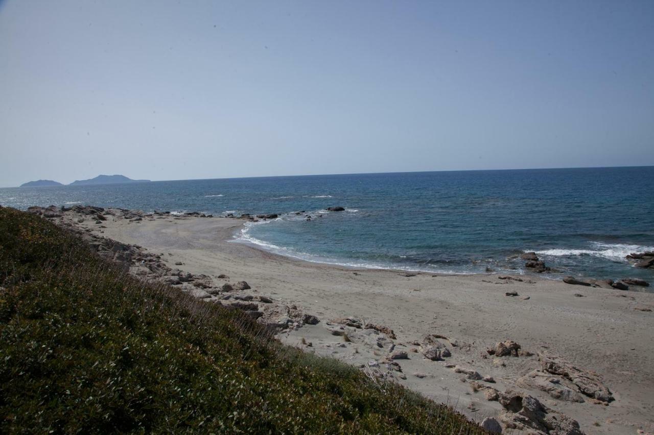 Alexandros Villa Agia Paraskevi  Exteriér fotografie